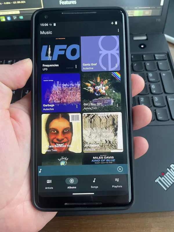 Album list within the DAP